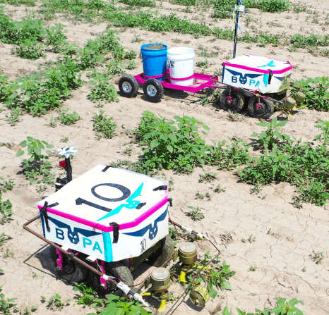 Barn Owl Mini Tractor