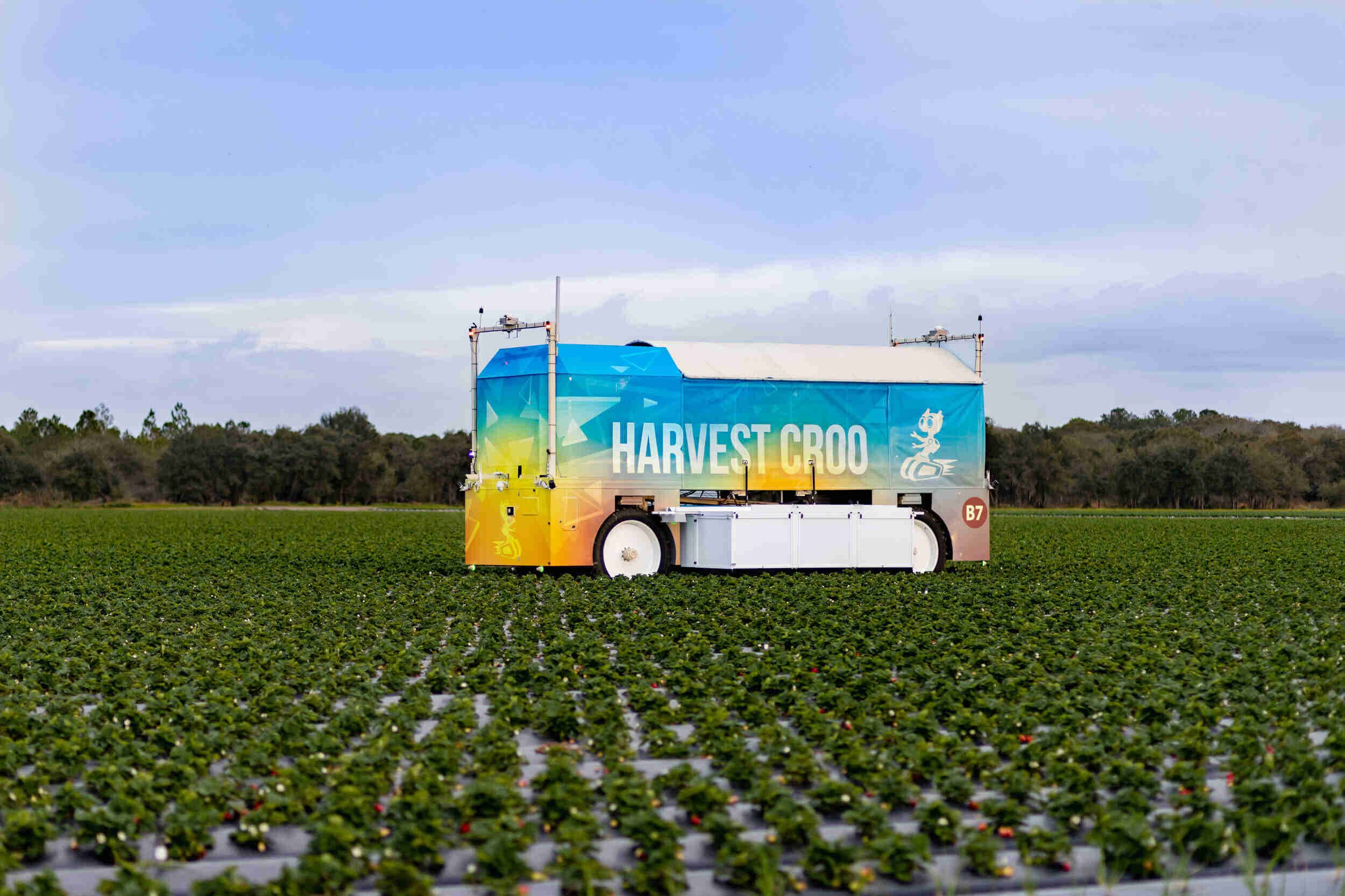 Harvest CROO Strawberry Picker