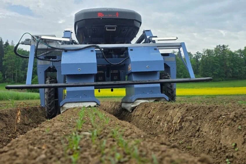 Caterra Grasshopper Laser Weeder