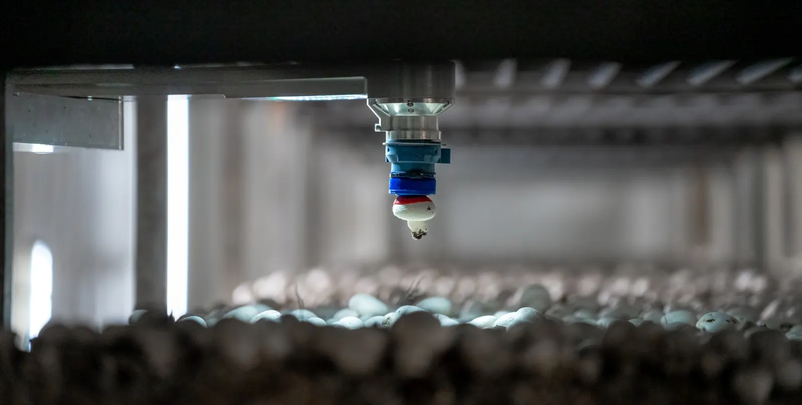 4AG Robotics Harvesting Robot