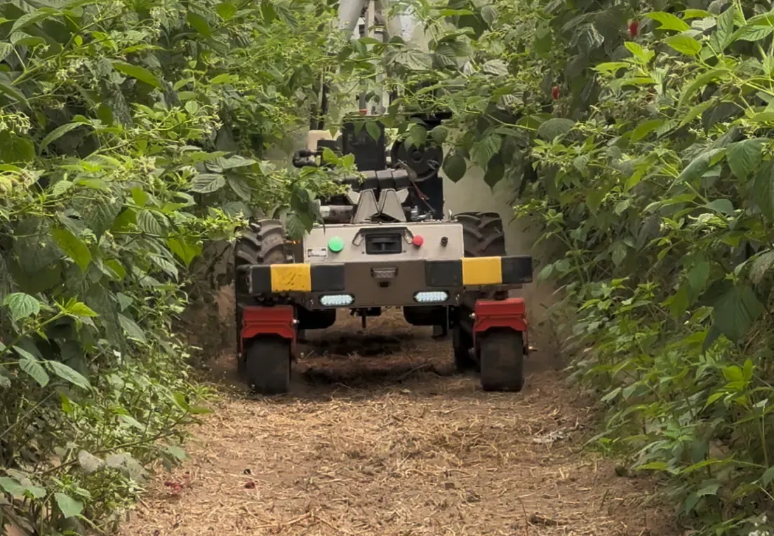 Agrobot Kiko