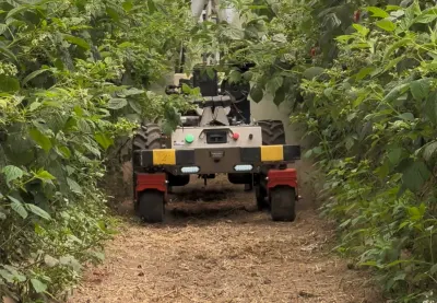 Agrobot Kiko