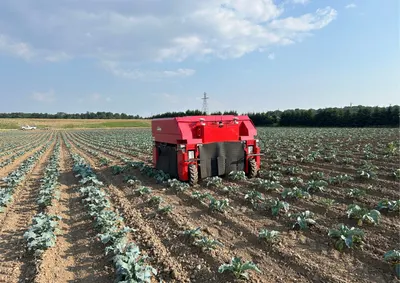 BHF Robotics Blitz Electric Weeder