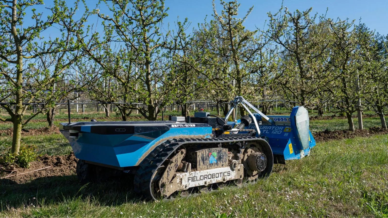 Field Robotics HammerHead