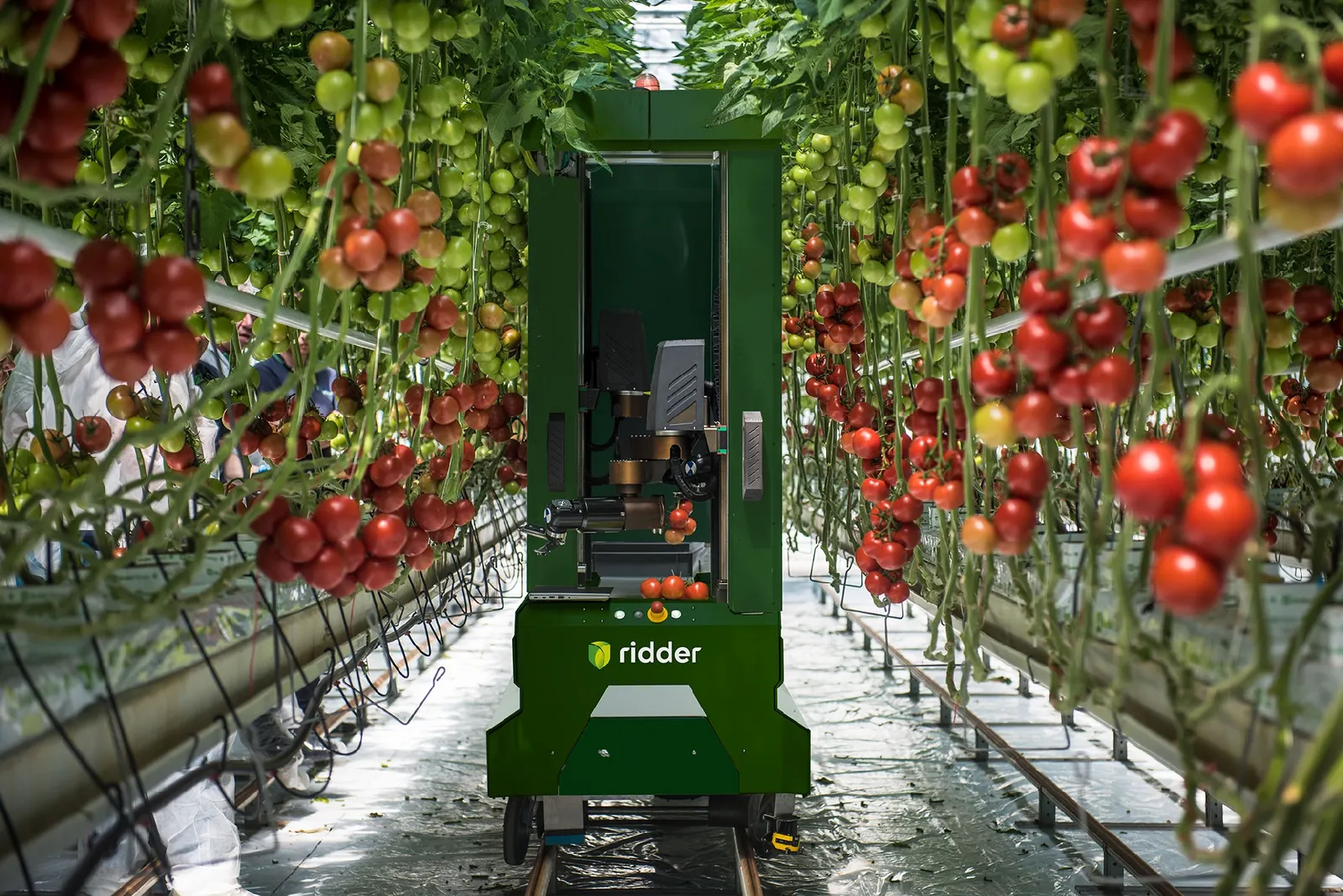 Ridder Tomato Harvesting Robot