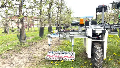 Rootline weeding robot