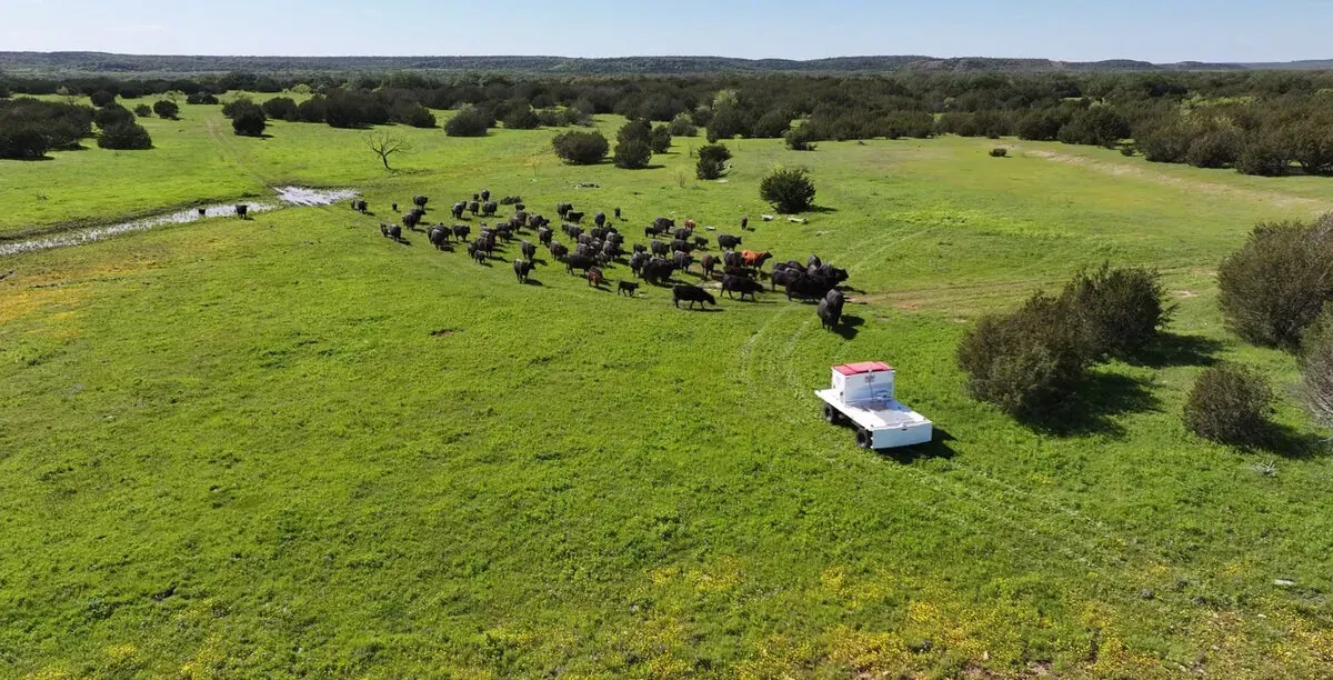 Smooth Ag Ranch Rover