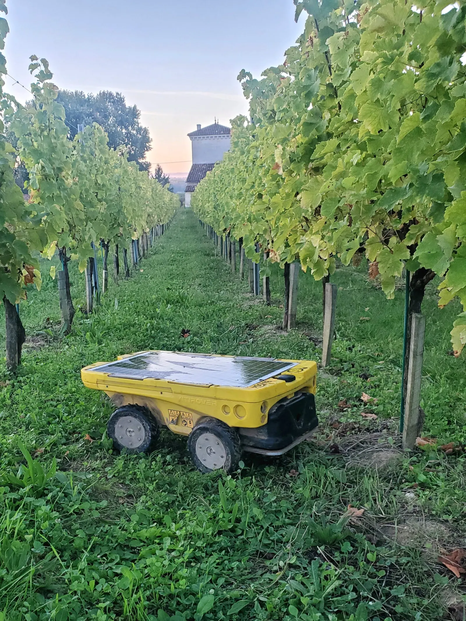 Vitirover VR8