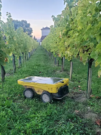 Vitirover VR8